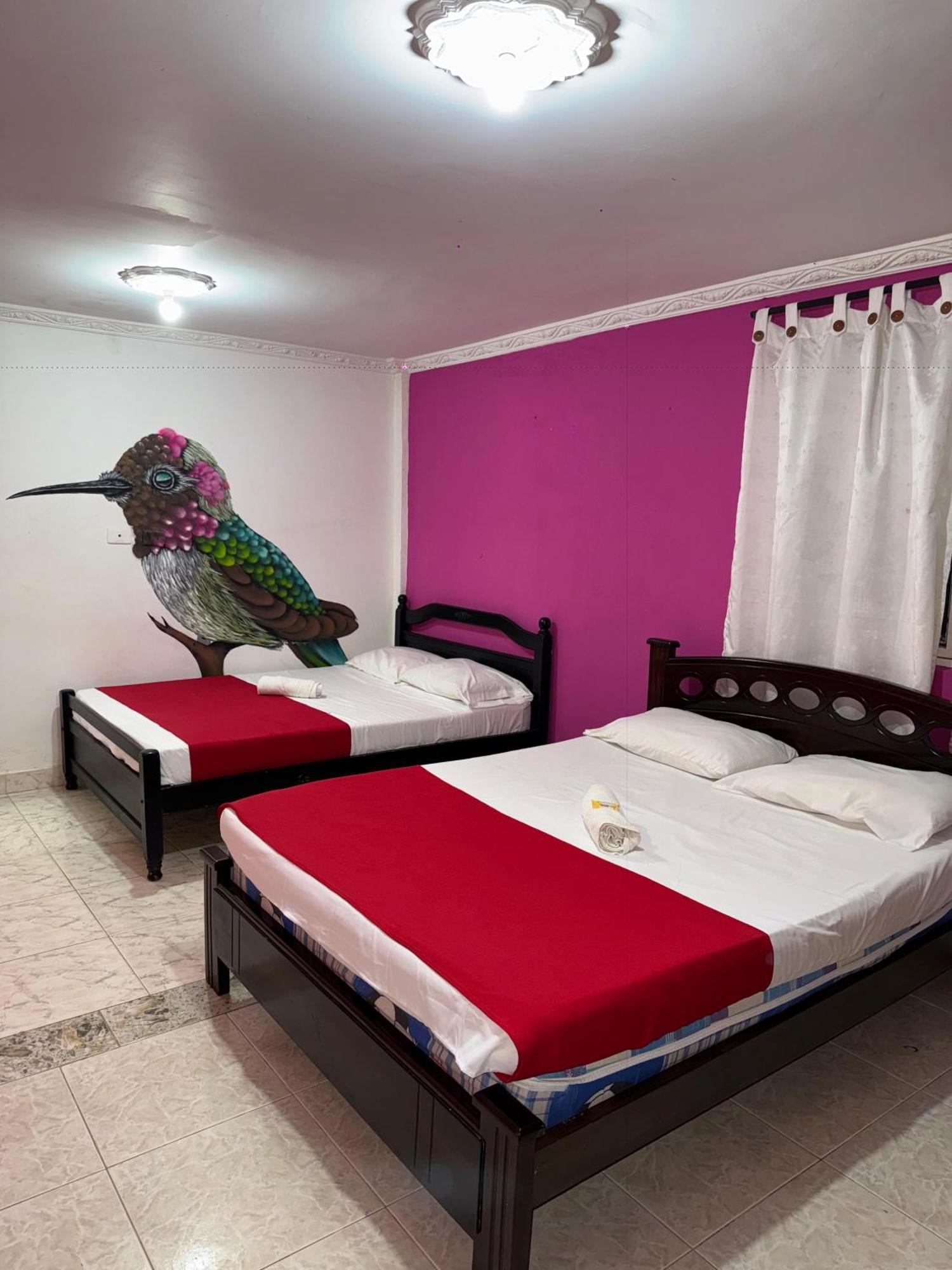 Ecohotel Colibri Salento Luna Park 外观 照片