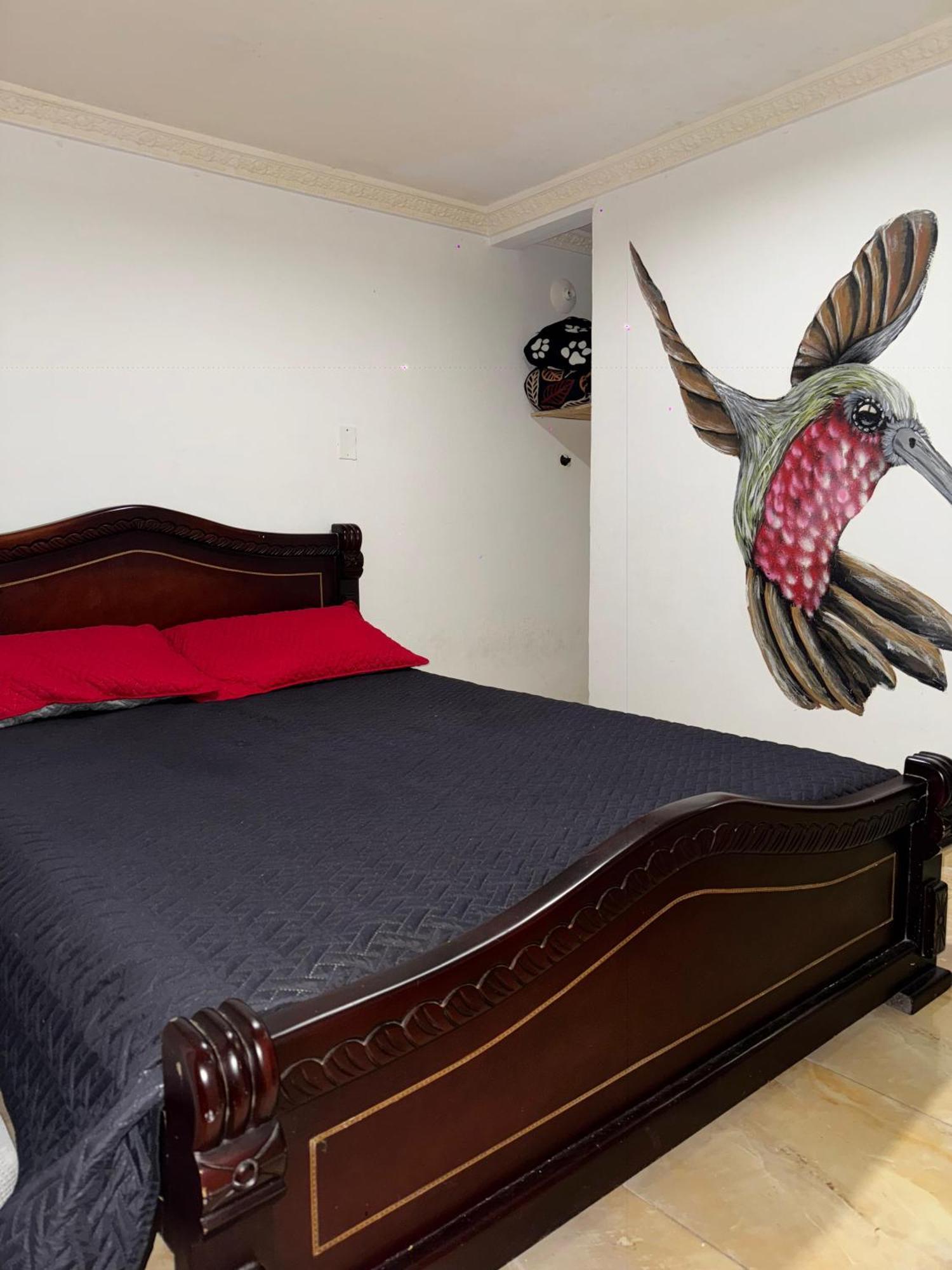 Ecohotel Colibri Salento Luna Park 外观 照片